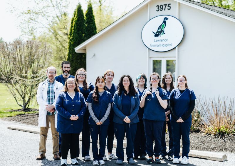 Carousel Slide 1: Meet Our Team >