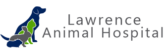 lawrence animal hospital